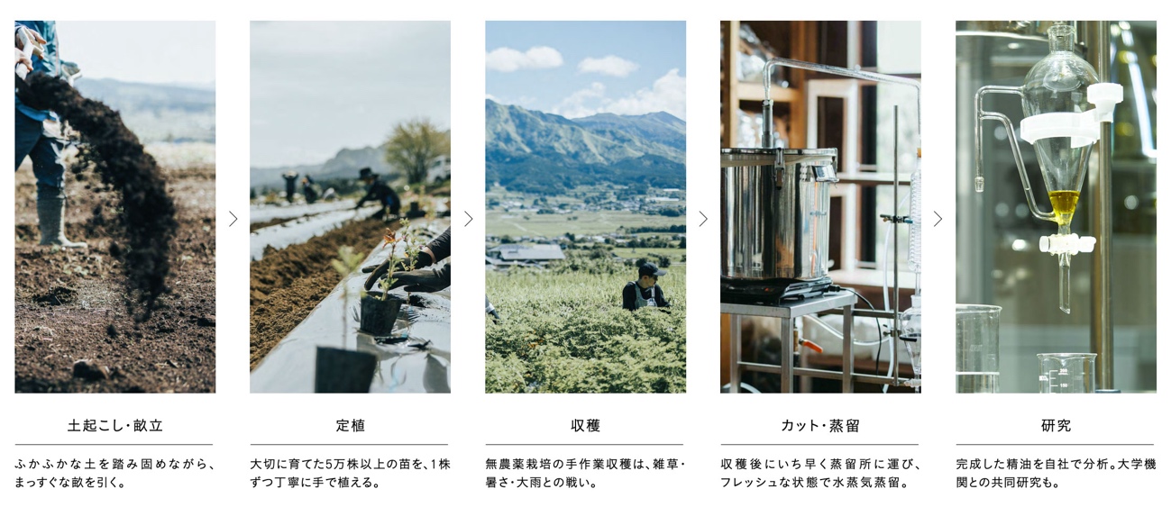 グラフィカル ユーザー インターフェイス